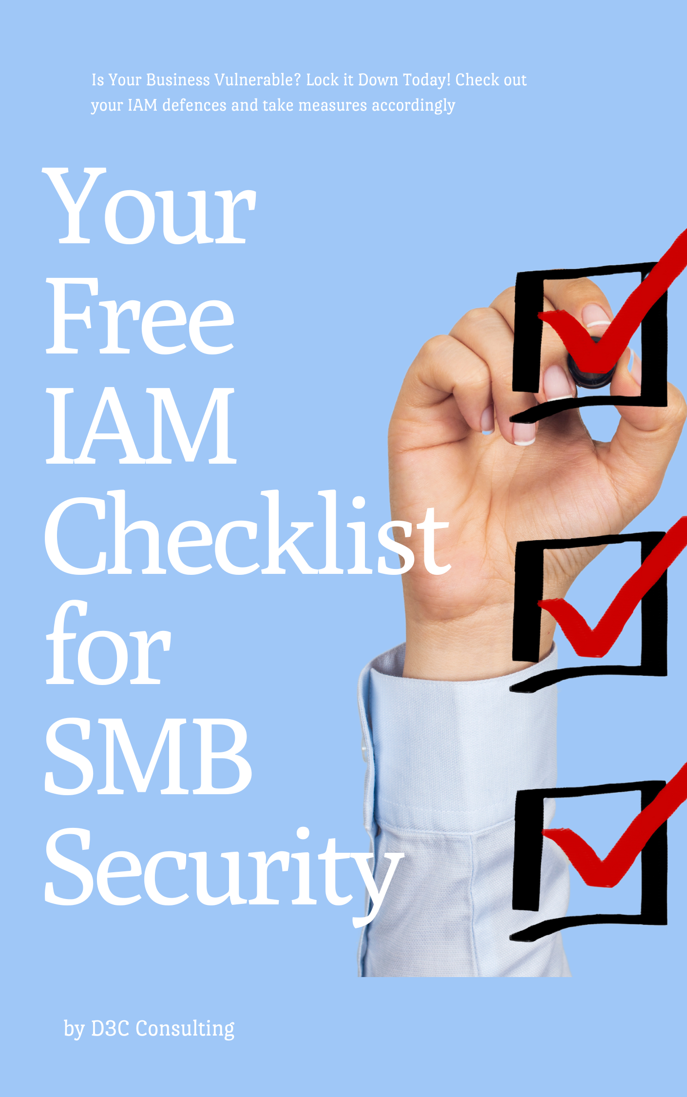 Your Free IAM Checklist and Basic Guide - D3C Consulting